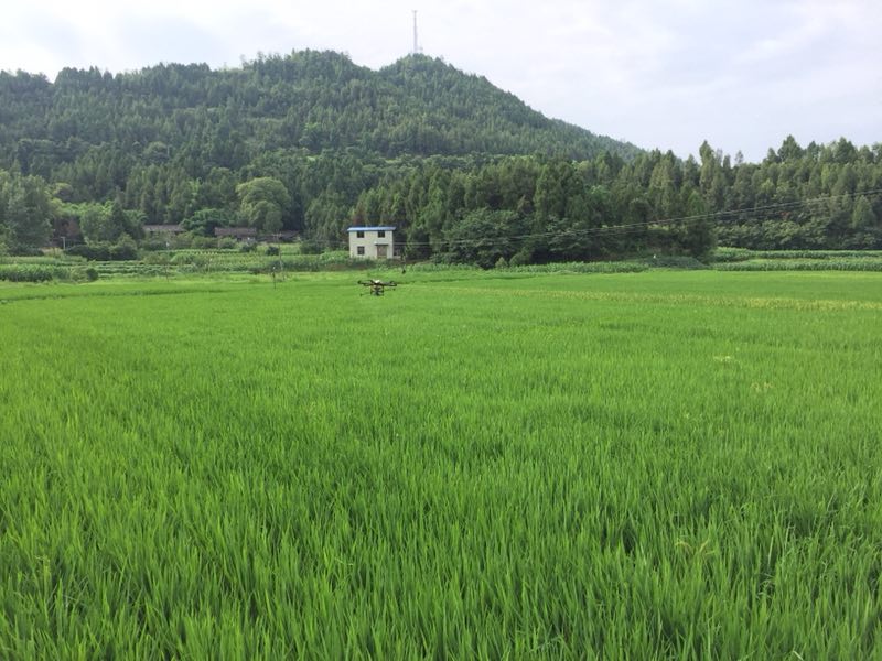 用科技助力农忙时节，驭云为水稻植保作业